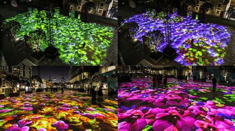 Festival of Lights 2023 Features Countless Lights in More Areas of.